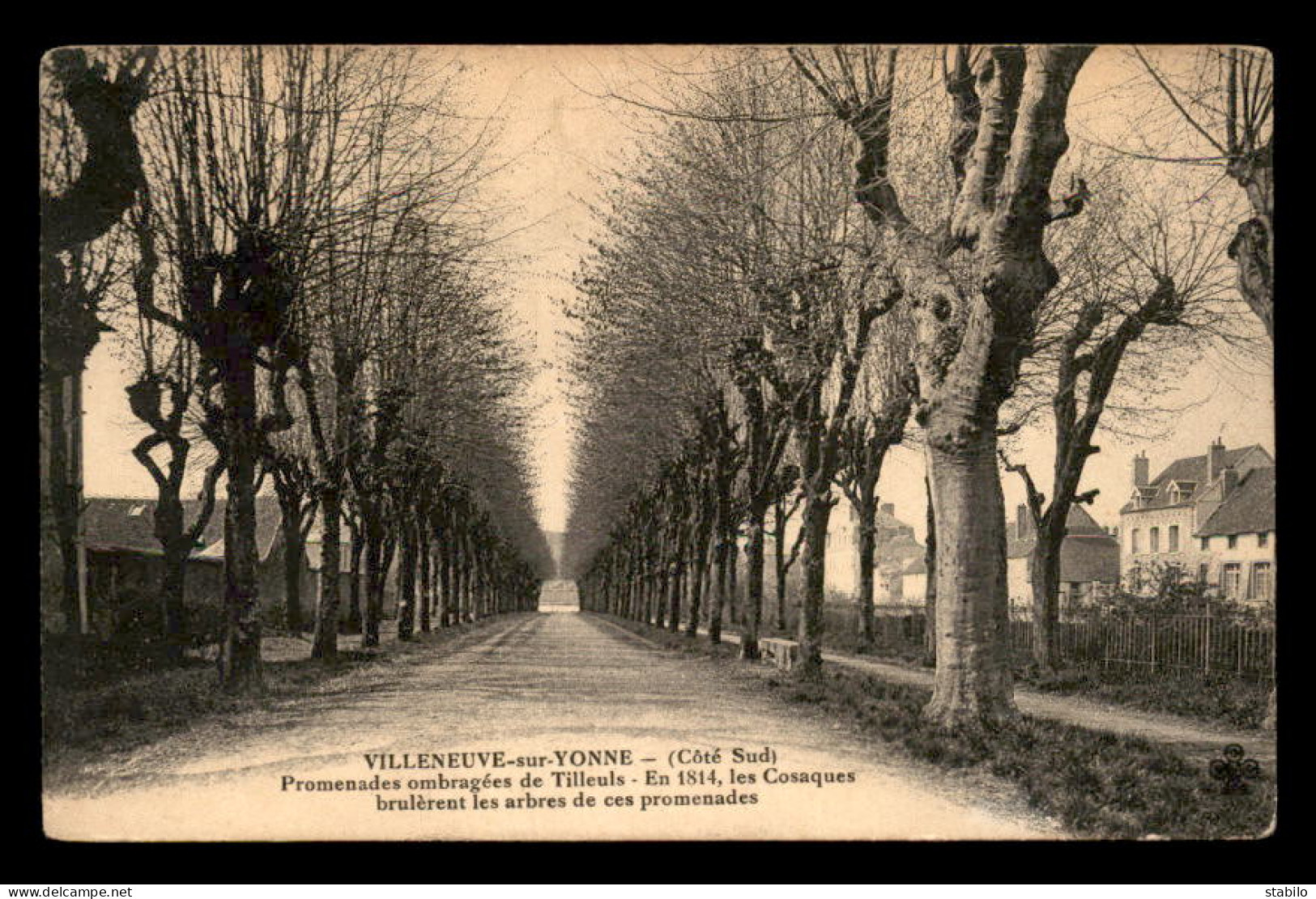 89 - VILLENEUVE-SUR-YONNE - PROMENADES DE TILLEULS - ARBRES - Villeneuve-sur-Yonne