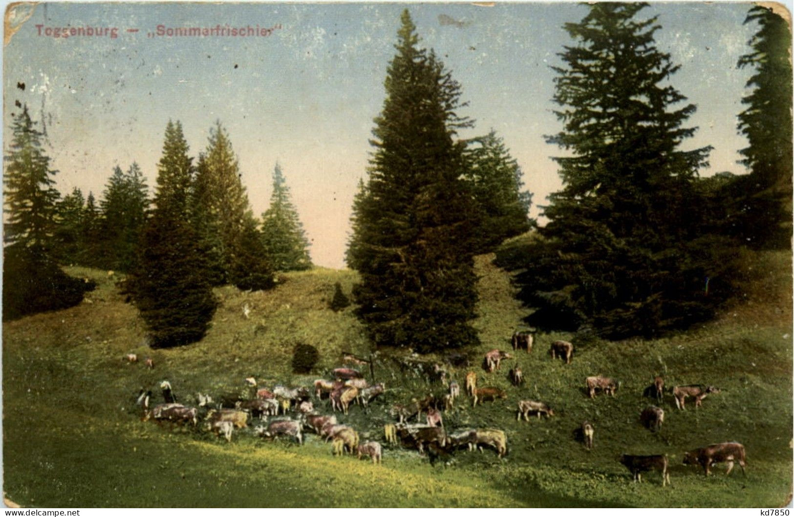 Sommerfrischler Toggenburg - Sonstige & Ohne Zuordnung