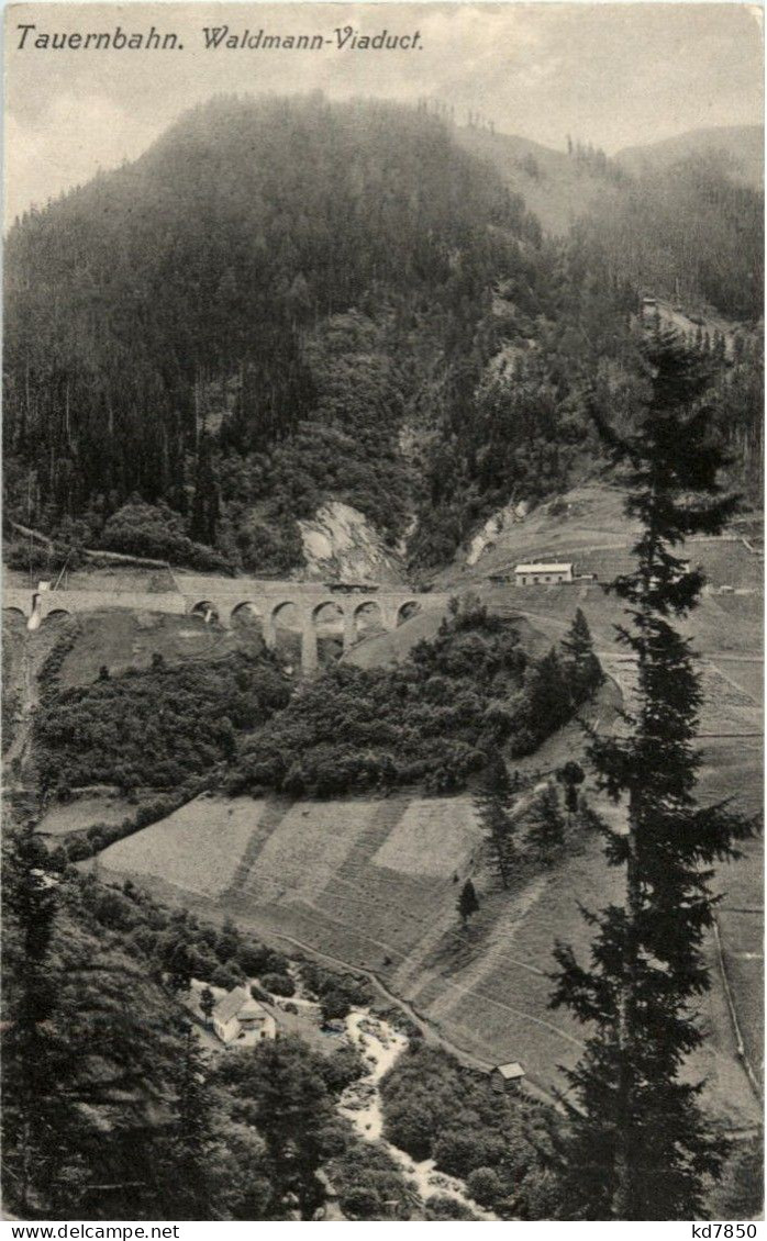 Tauernbahn - Waldmann Viaduct - Autres & Non Classés