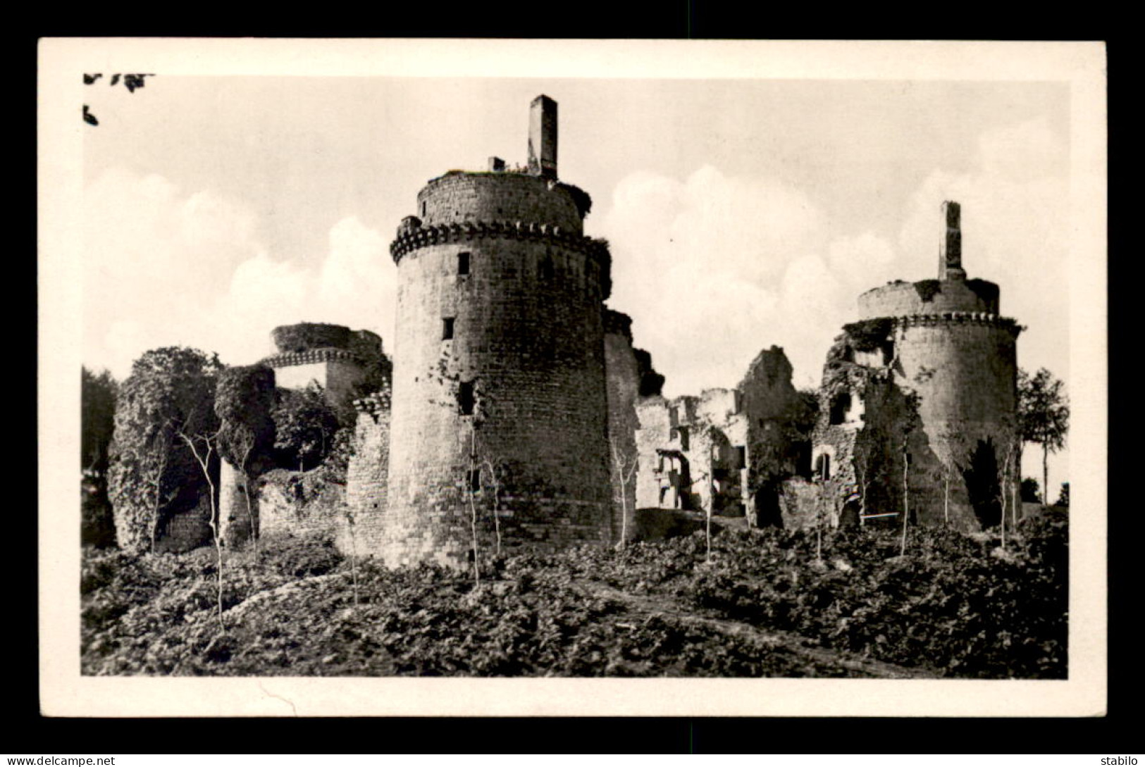 22 - RUINES DU CHATEAU DE LA HUNAUDAYE - Andere & Zonder Classificatie