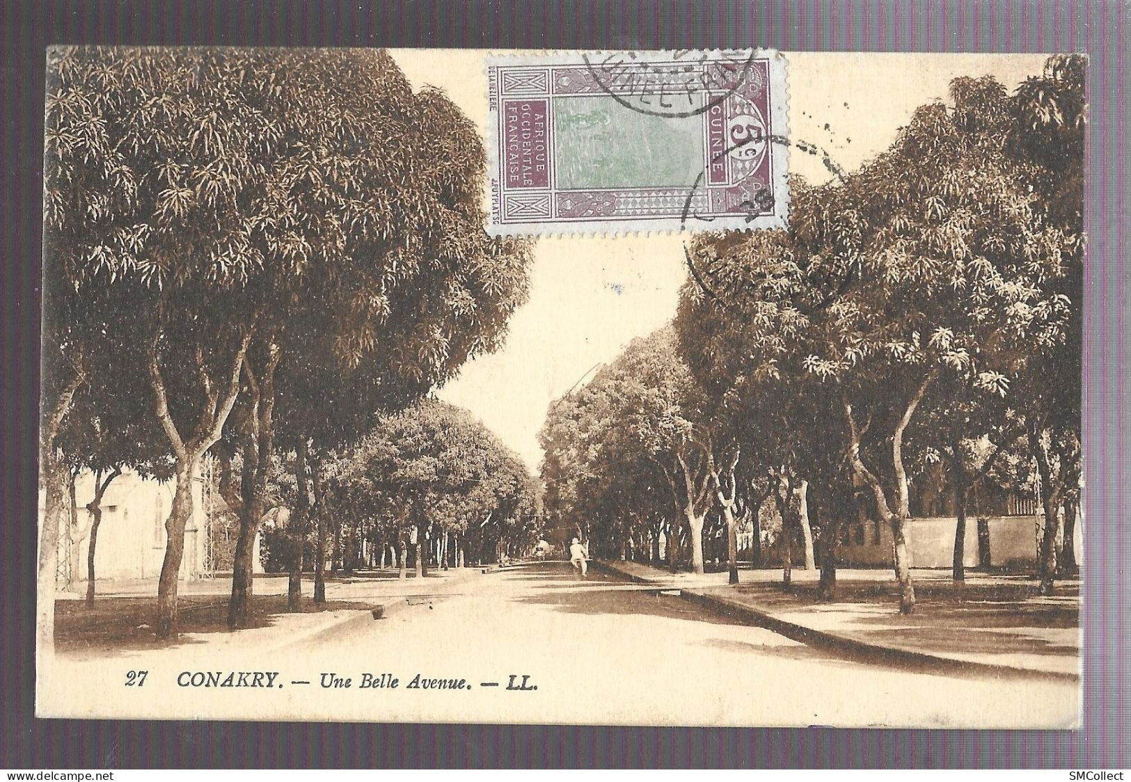 Conakry, Une Belle Avenue (A17p23) - Guinea Francese