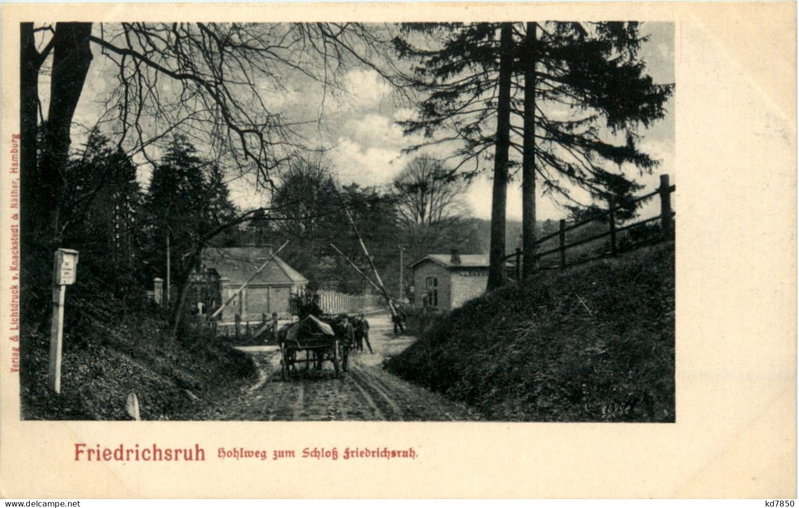 Friedrichsruh - Hohlweg - Friedrichsruh