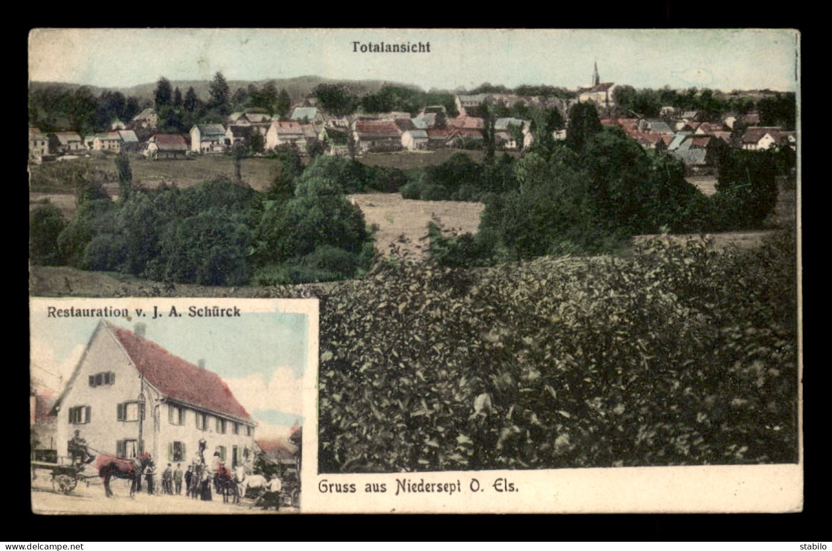 68 - SEPPOIS-LE-BAS - NIEDERSEPT - VUE GENERALE - RESTAURANT J.A. SCHURCK - VOIR ETAT - Autres & Non Classés