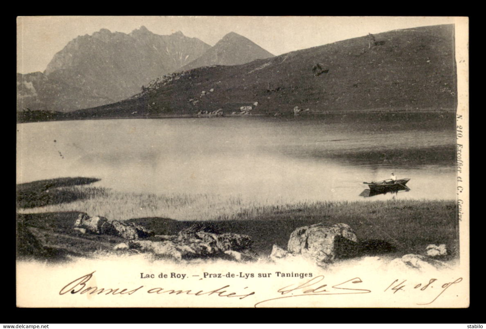 74 - LAC DE ROY - PRAZ-DE-LYS SUR TANINGES - Autres & Non Classés