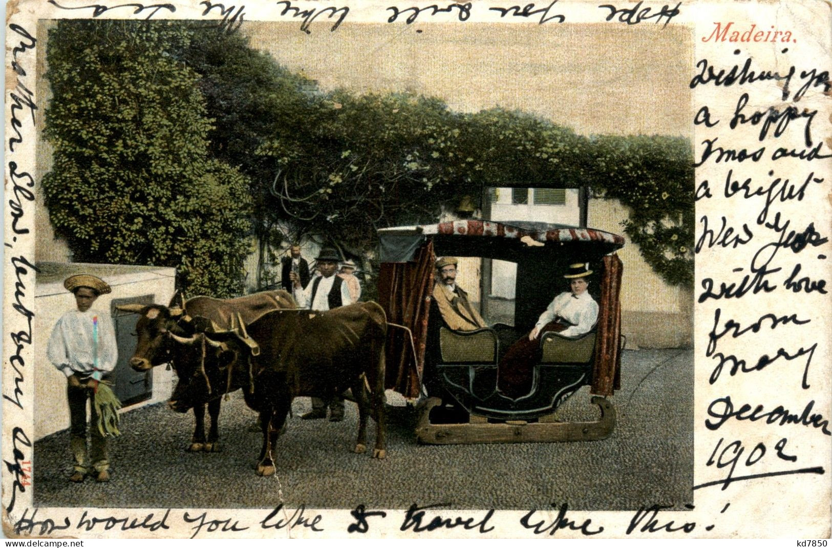 Madeira - Pullock Car - Madeira