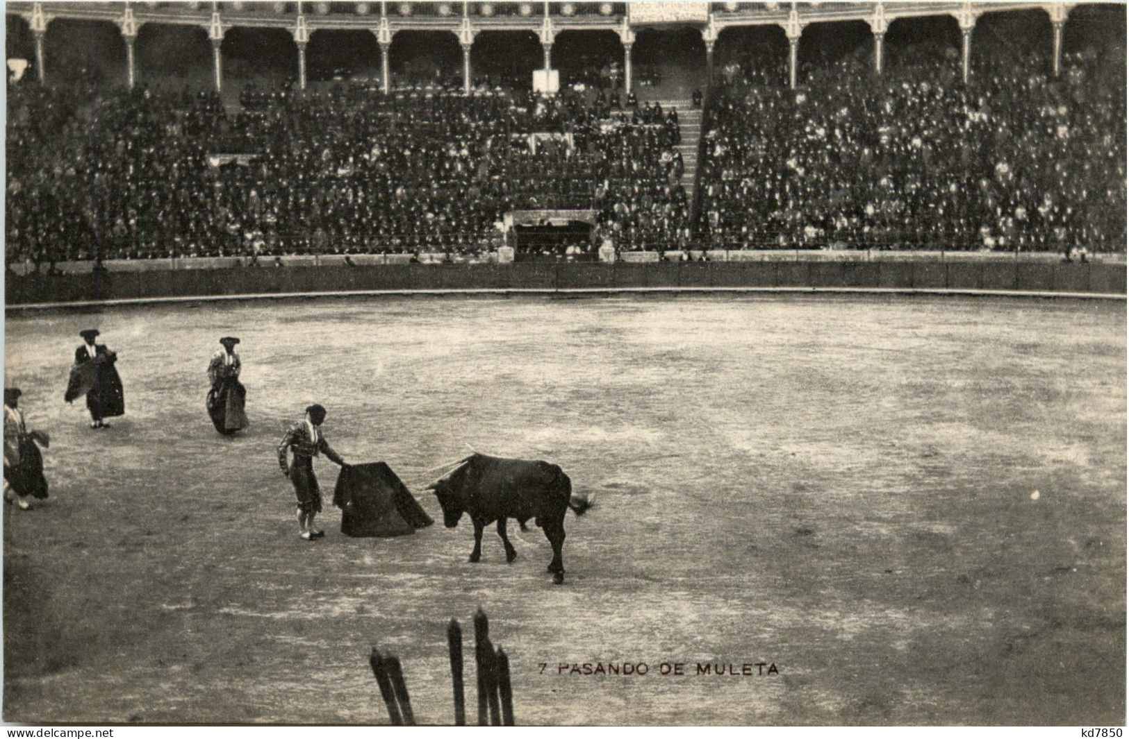 Pasando De Muleta - Stierkampf