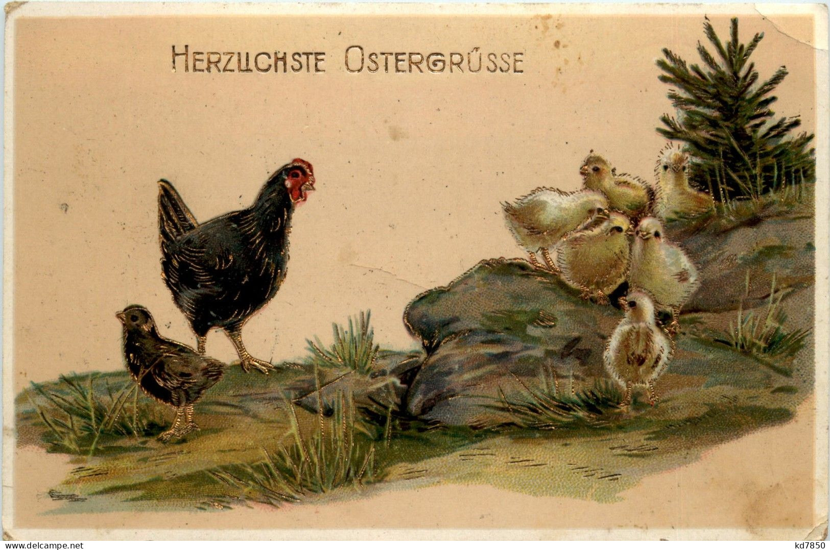 Ostern - Kücken Chicken - Prägekarte - Pasen