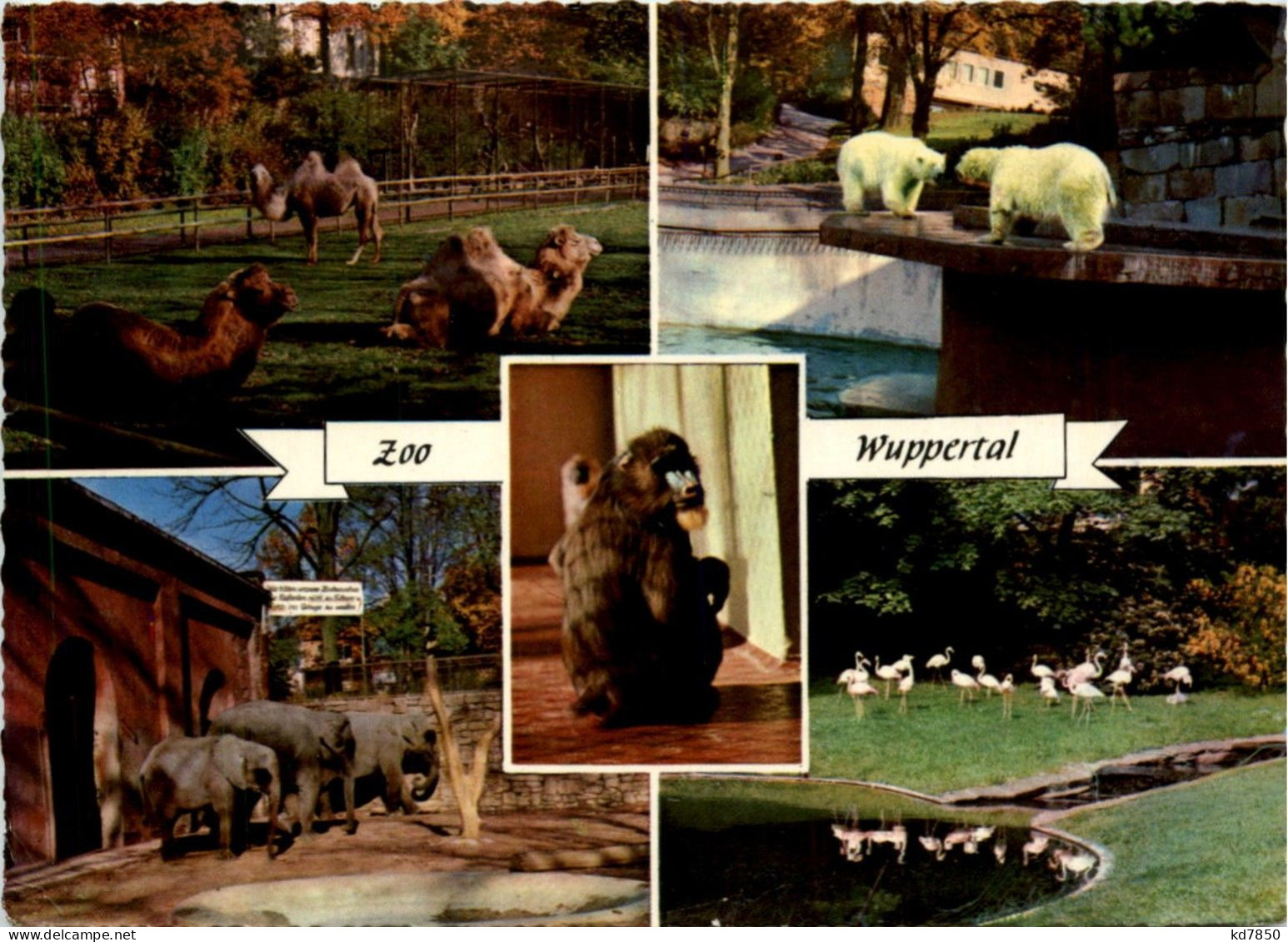 Wuppertal - Zoo - Wuppertal