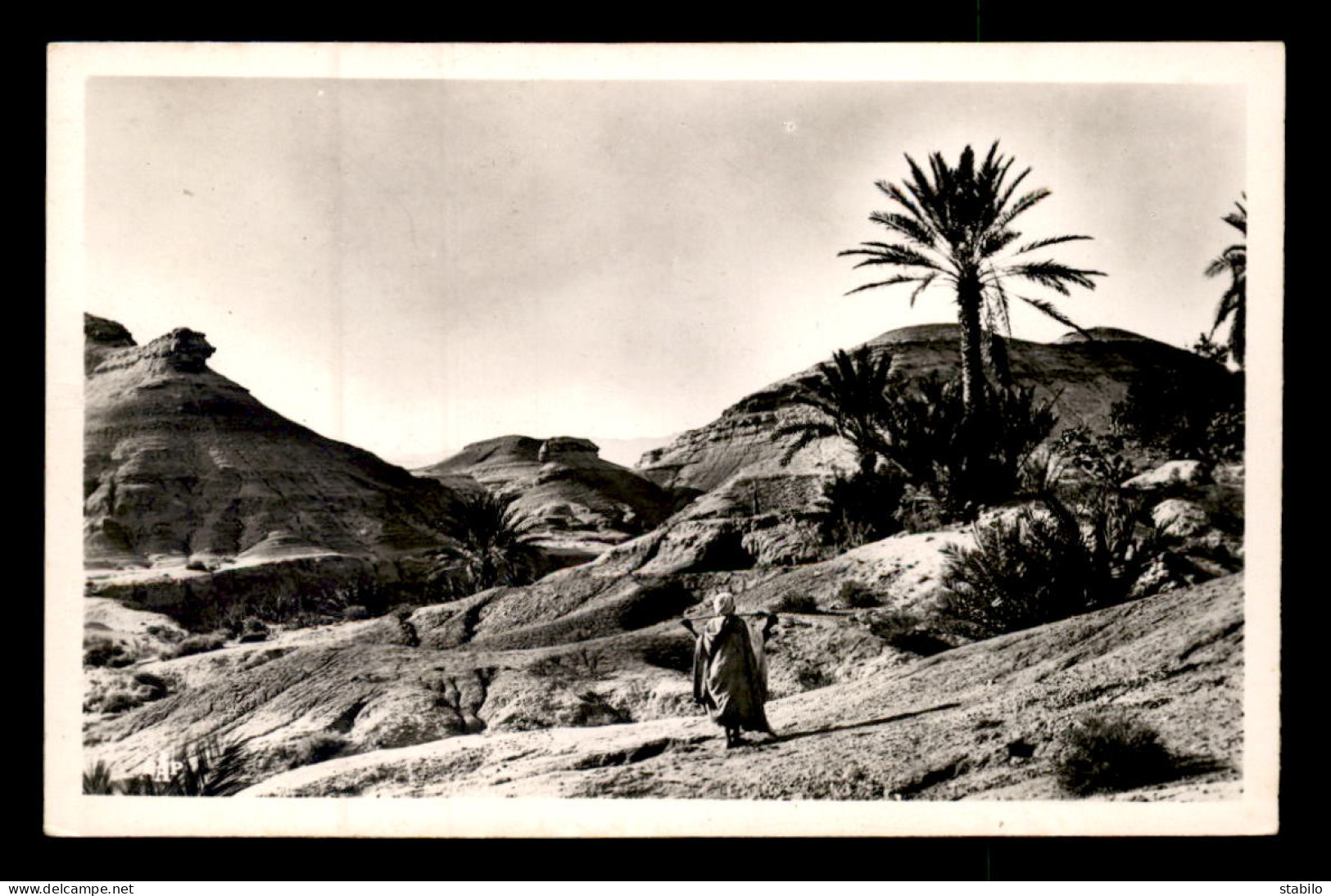 ALGERIE - L'AURES - PAYSAGE D'EROSION DE M'CHOUNECHE - Autres & Non Classés