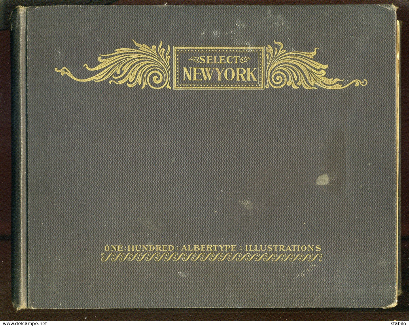 SELECT NEW YORK - ONE HUNDRED ALBERTYPE ILLUSTRATIONS - 100 VUES DE NEW YORK - DEDICACE DE JANVIER 1898 - 1850-1899