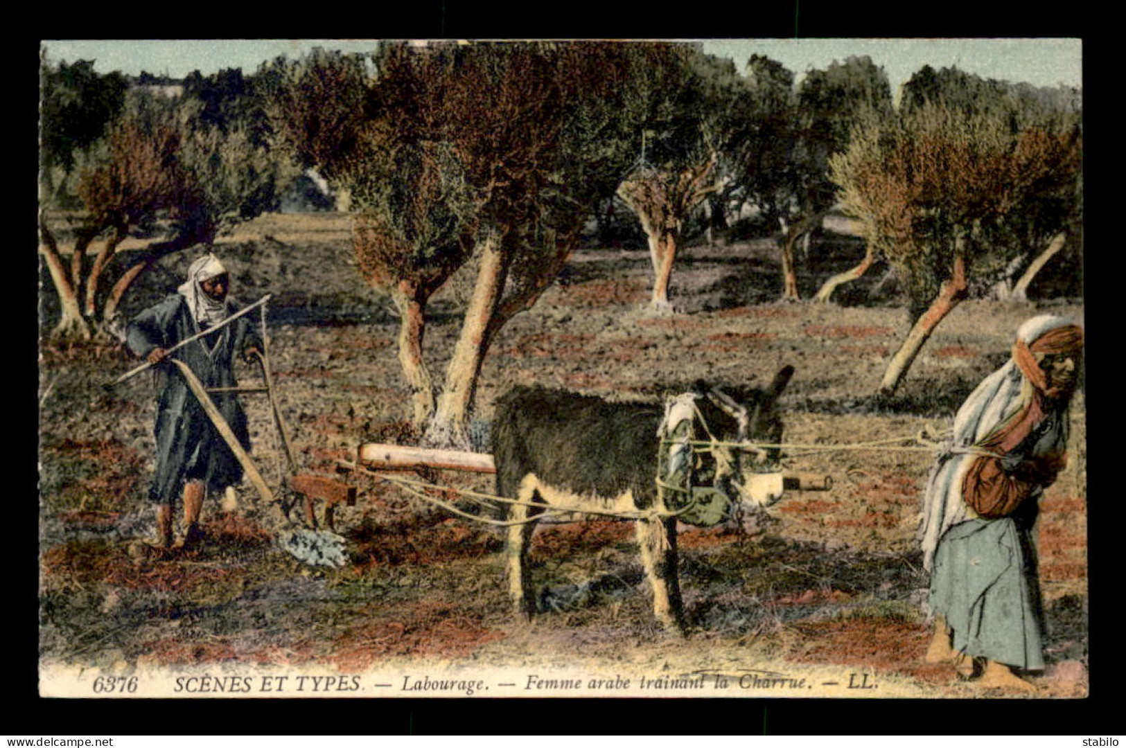 SCENES ET TYPES - ALGERIE - LABOURAGE - FEMME ARABE TRAINANT UNE CHARRUE - CARTE COLORISEE - EDITEUR LL - Scènes & Types