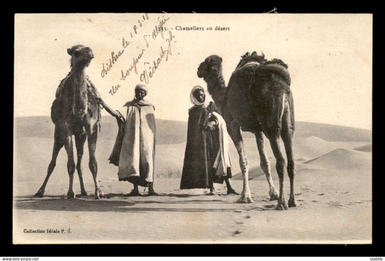 SCENES ET TYPES - SAHARA - CHAMELIERS AU DESERT - Scenes