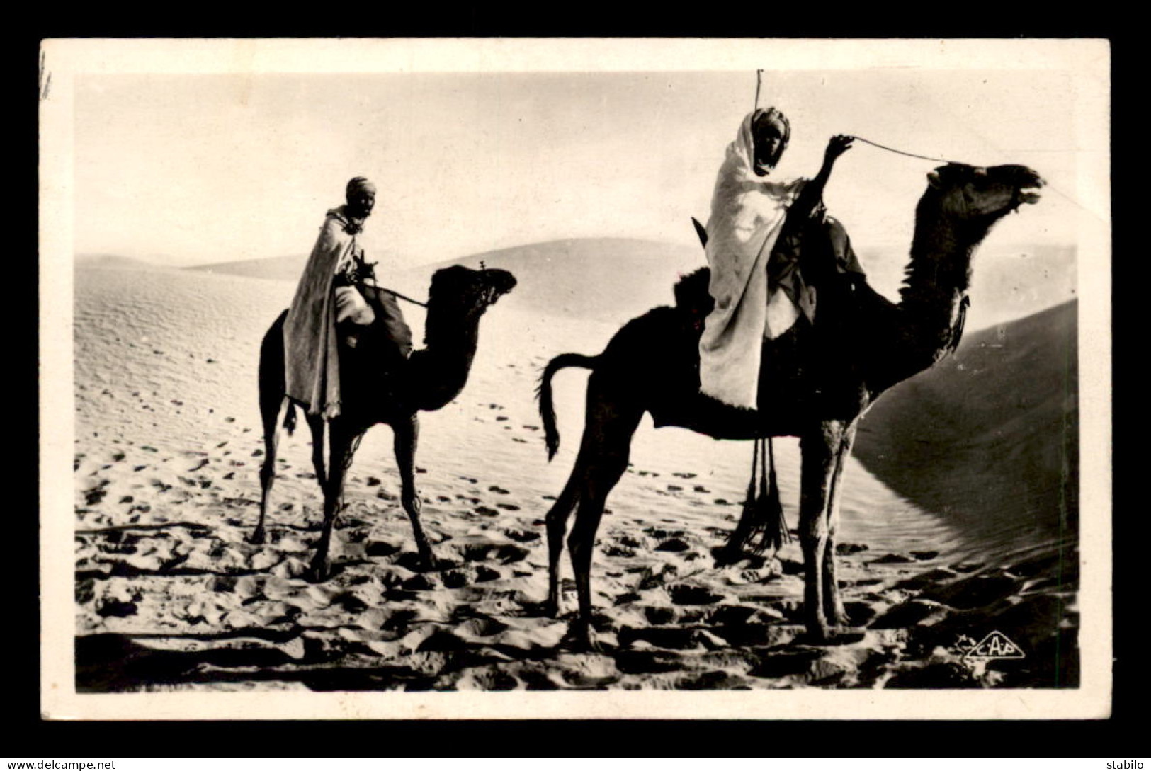 SCENES ET TYPES - SAHARA - MEHARISTES TRAVERSANT LES DUNES - CHAMEAUX - Scenes