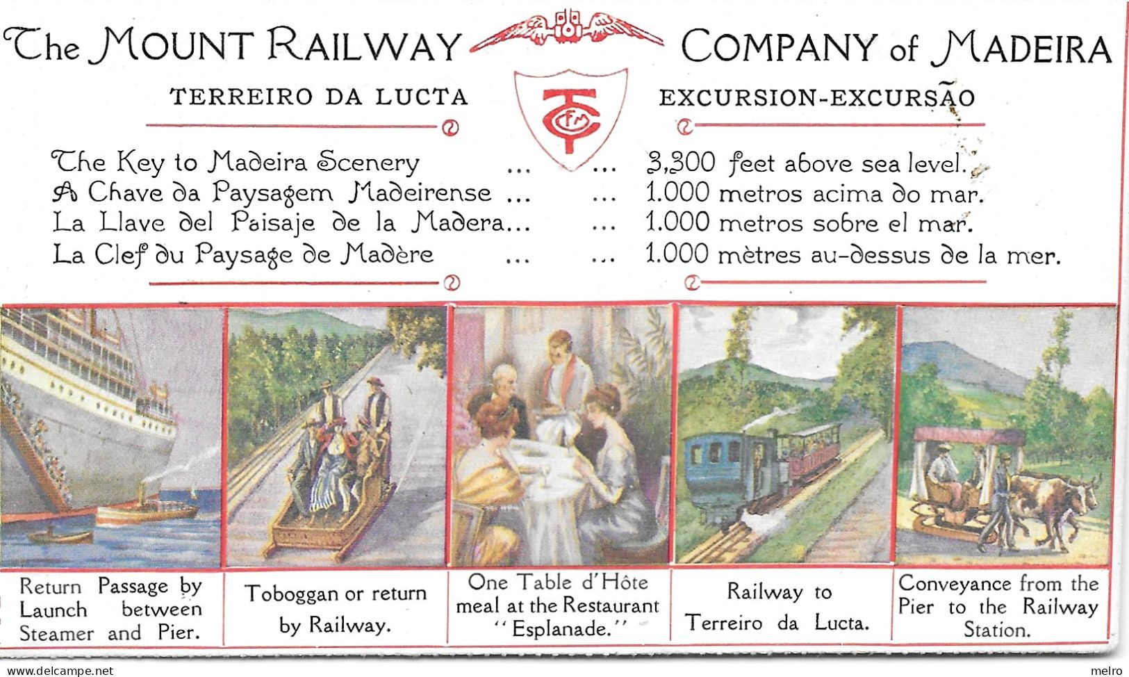 Portugal - MADEIRA -The Mount Railway - Company Of Madeira - Treinen Trains Spoorwegen - Madeira