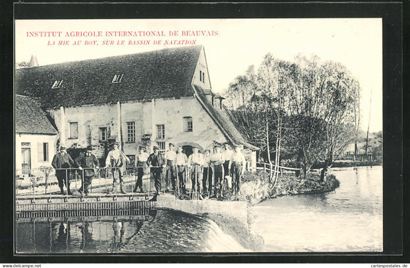 CPA Beauvais, Institut Agricole International, La Mie Au Roy, Sur Le Bassin De Natation  - Beauvais