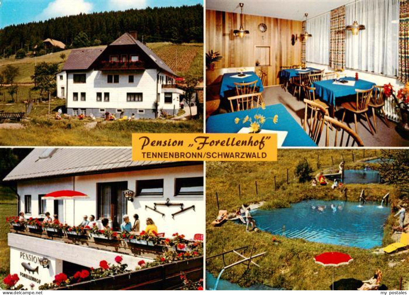 73941414 Tennenbronn Pension Forellenhof Gastraum Balkon Freibad - Schramberg