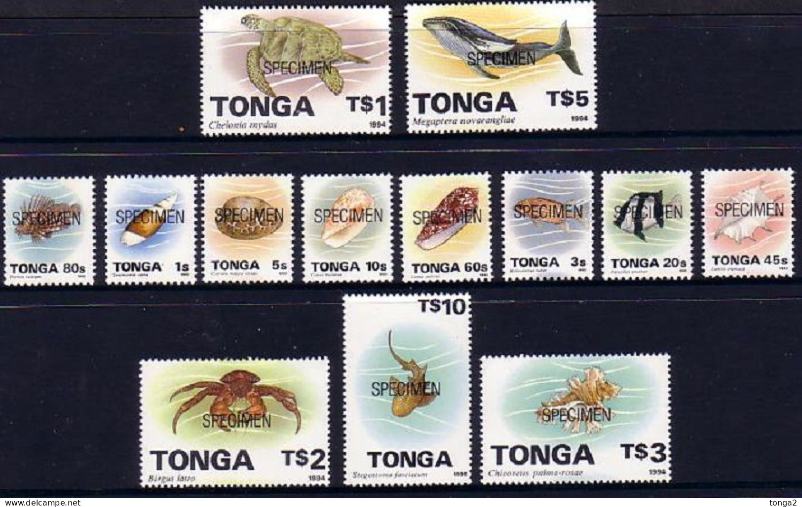 Tonga 1993/4 Marine Life Specimen Set Of 13 To $5 Whale & $10 Shark - Tonga (1970-...)