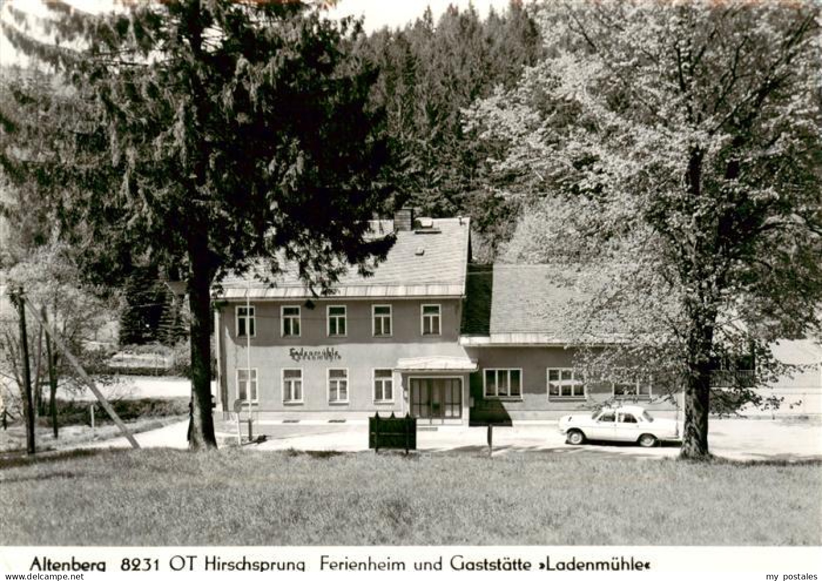 73900259 Hirschsprung Ferienheim Und Gaststaette Ladenmuehle Hirschsprung - Altenberg