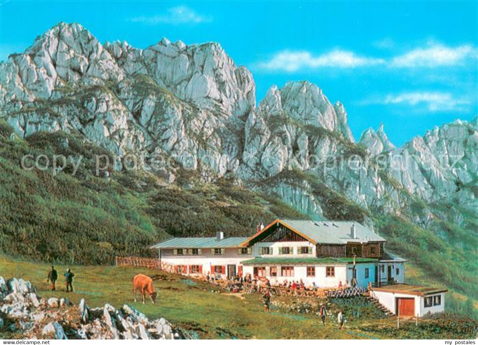 73784946 Steinlingalm 1670m Kampenwand Almgasthof Bayerische Alpen  - Other & Unclassified