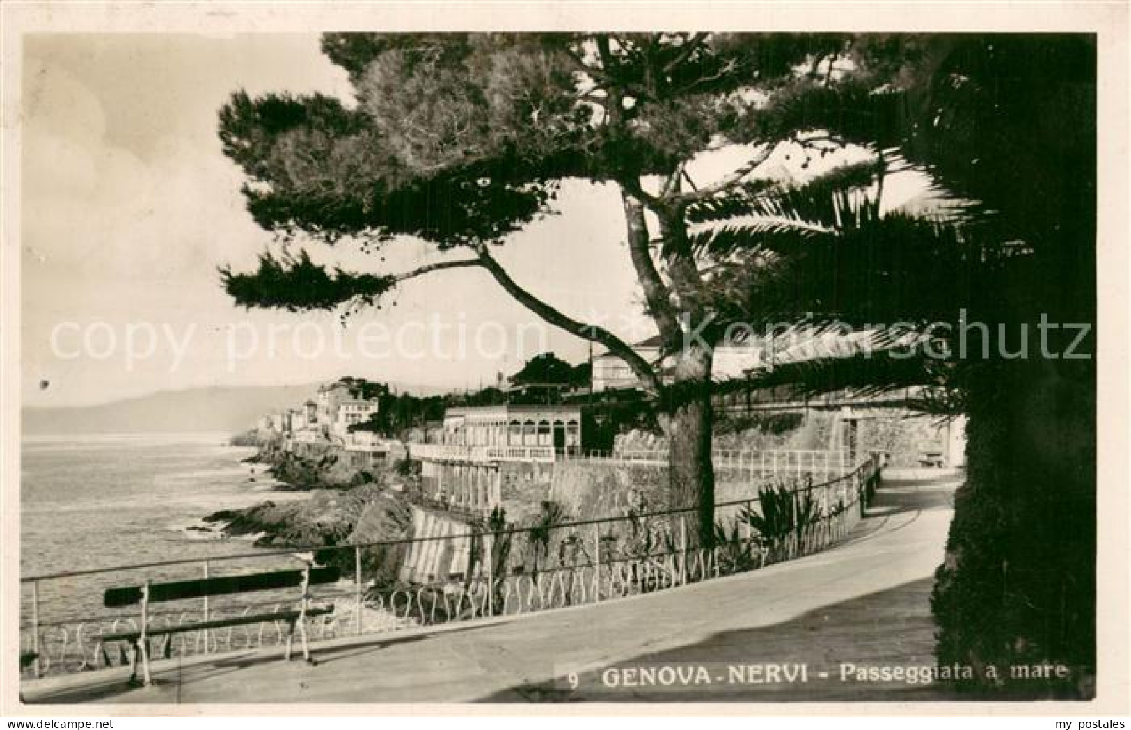 73784756 Nervi Genova Genua Liguria Passeggiata A Mare  - Andere & Zonder Classificatie