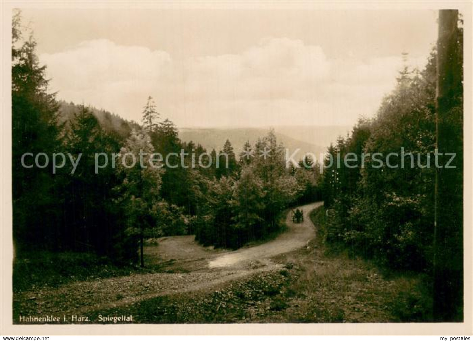 73784633 Hahnenklee-Bockswiese Harz Spiegeltal Waldweg Hahnenklee-Bockswiese - Goslar