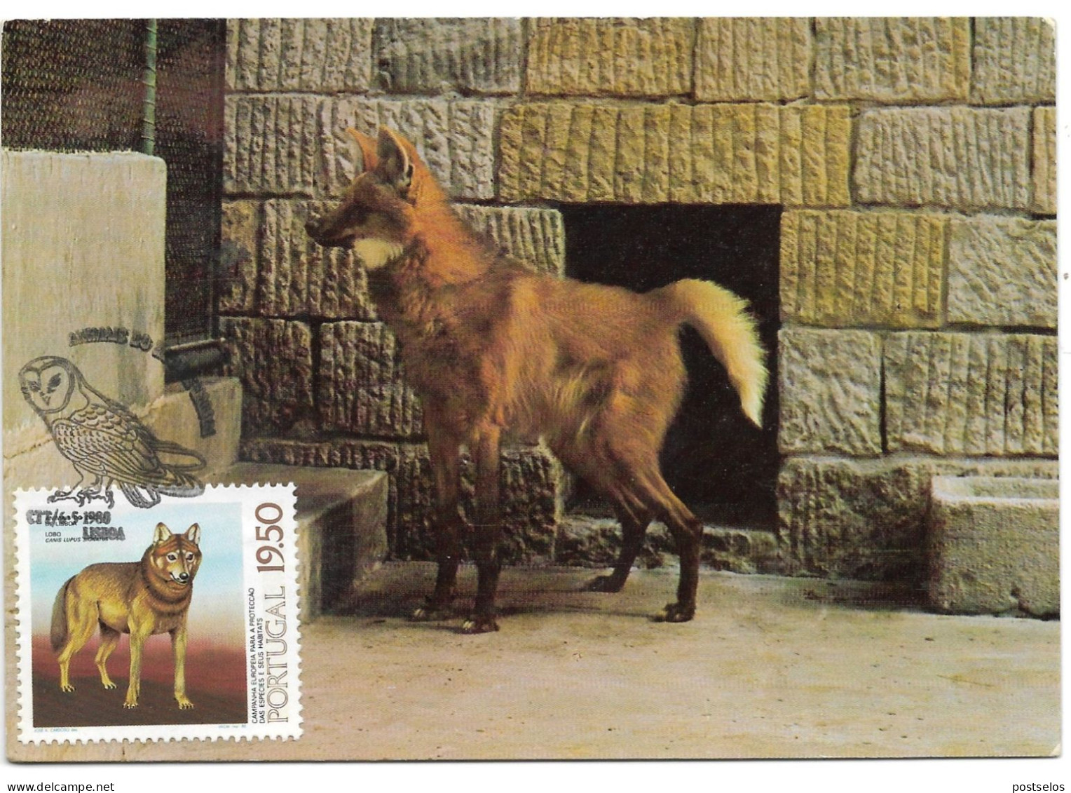 Zoo De Lisboa - Maximum Cards & Covers