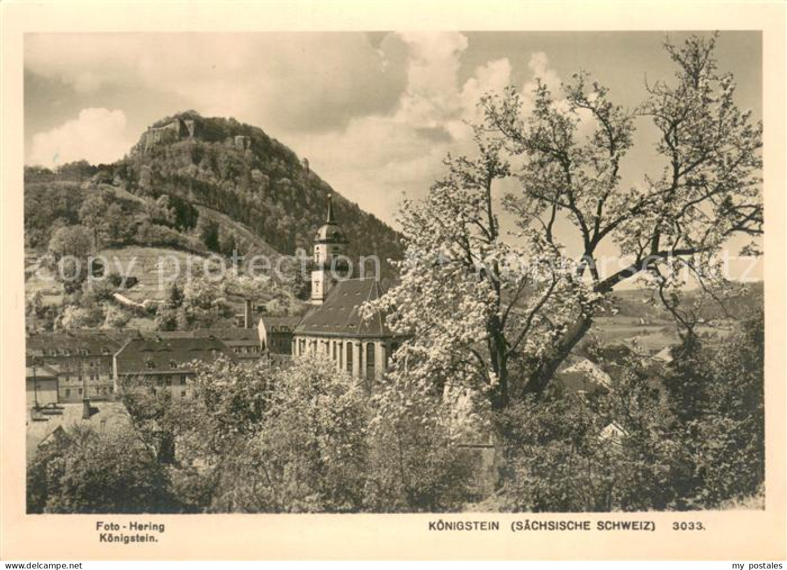 73783925 Koenigstein Saechsische Schweiz Panorama Kirche Burg Koenigstein Saechs - Koenigstein (Saechs. Schw.)