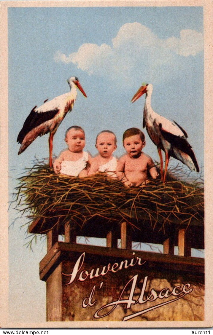 28-4-2023 (3 Z 16) VERY OLD - Colorised - France - Souvenir D'Alsace (stork & Babies) - Humour