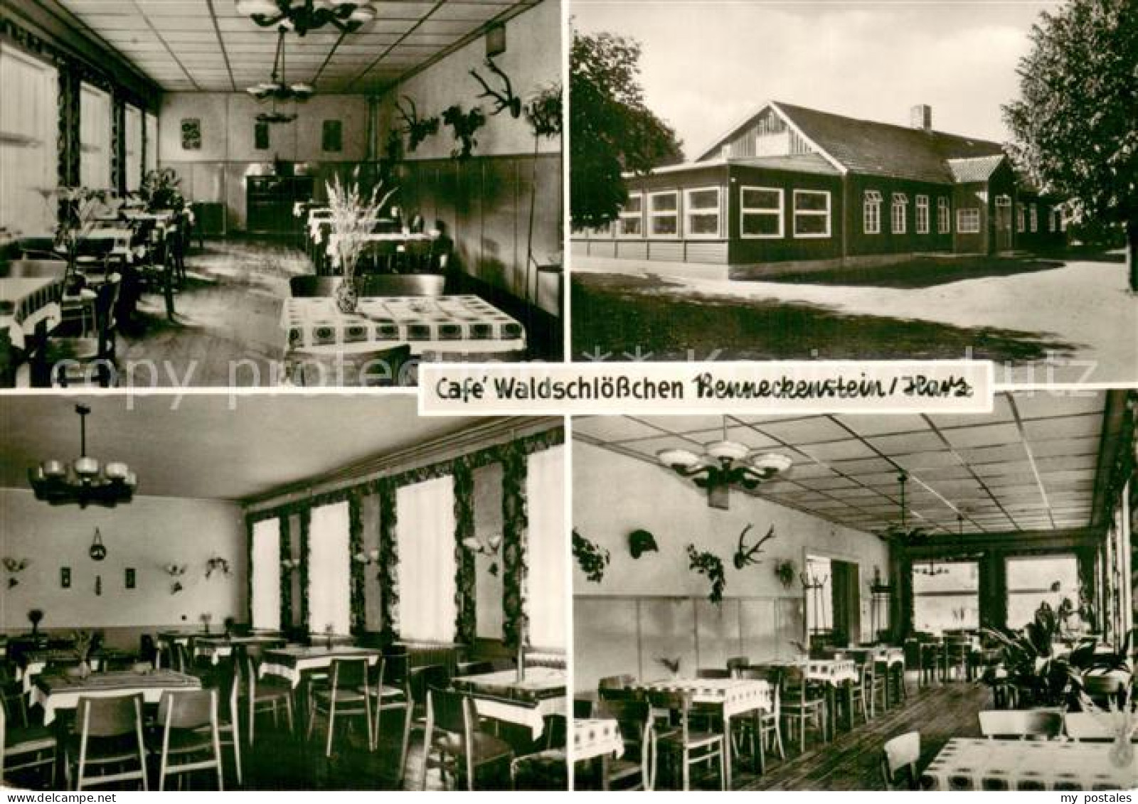 73783758 Benneckenstein Harz Cafe Waldschloesschen Gastraeume Benneckenstein Har - Altri & Non Classificati