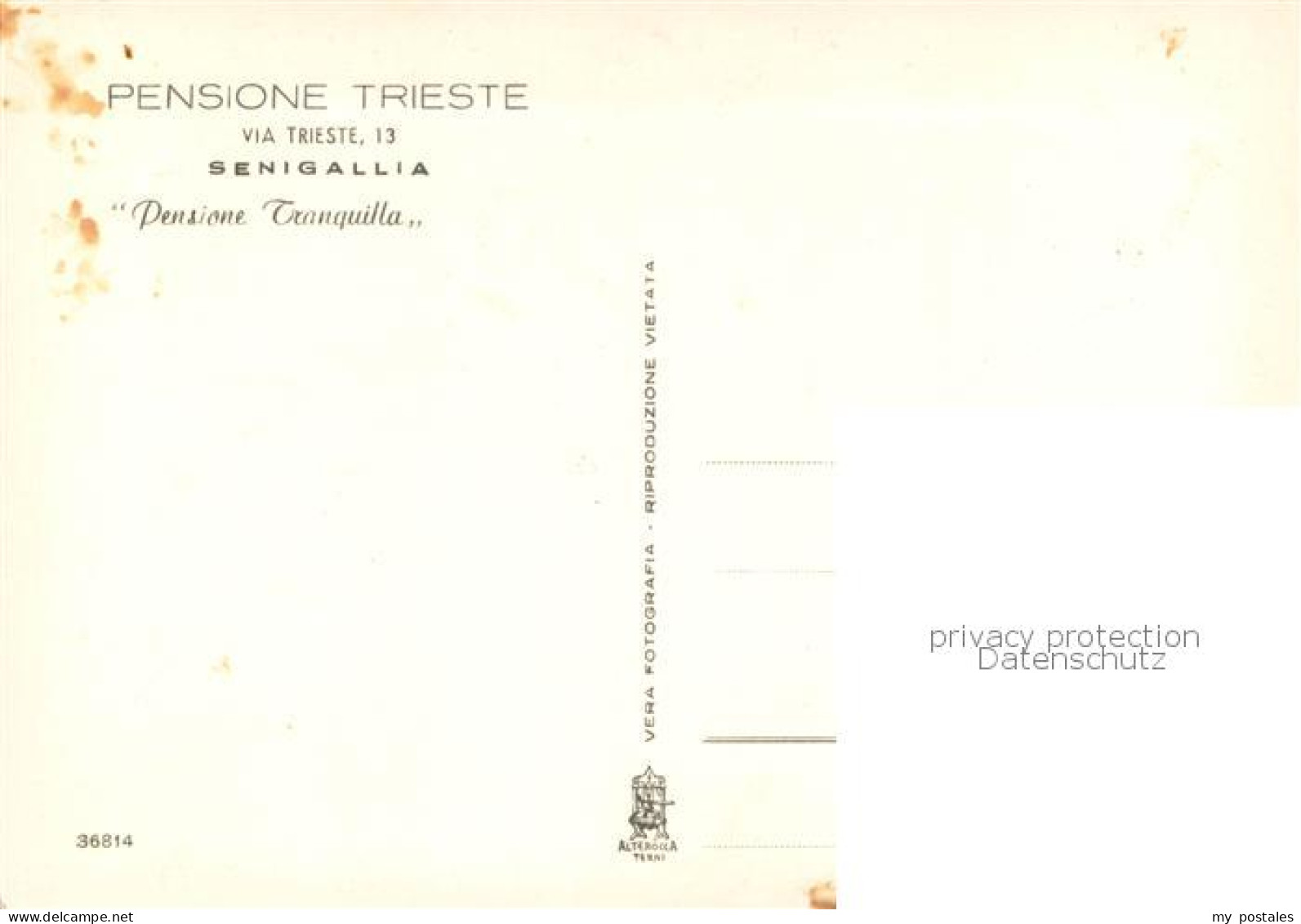 73783247 Senigallia IT Pensione Trieste   - Other & Unclassified