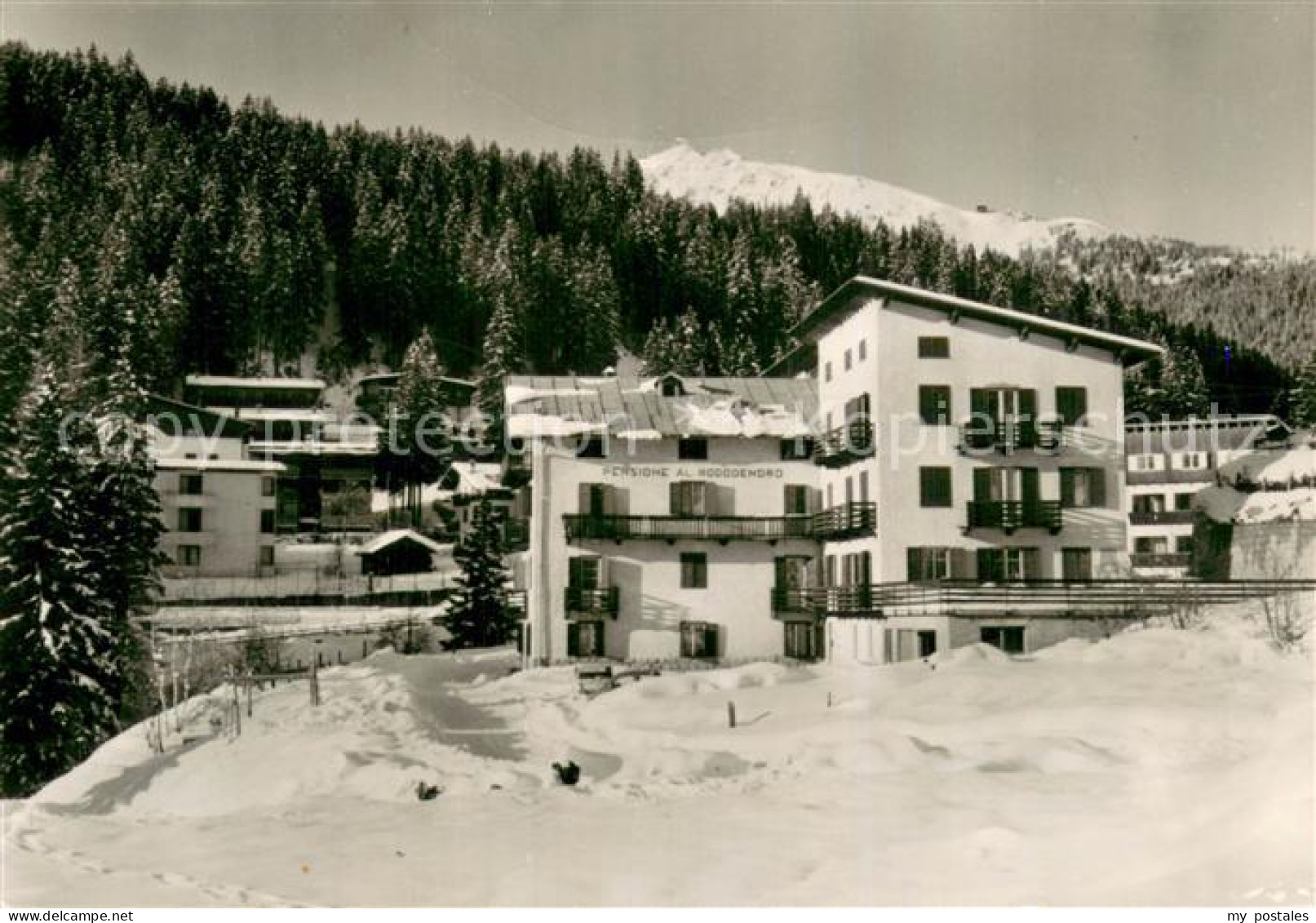 73783246 Madonna Di Campiglio Trentino IT Pensione Rododendron Winter Schnee  - Other & Unclassified