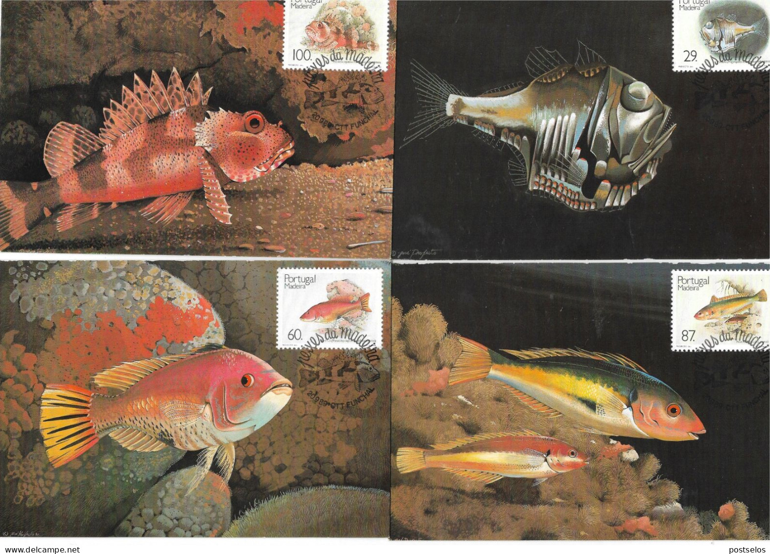 Peixes Da Madeira - Maximum Cards & Covers