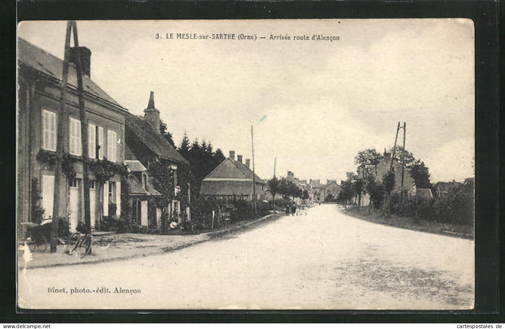 CPA Le Mesle-sur-Sarthe, Arrivée Route D`Alencon  - Alencon