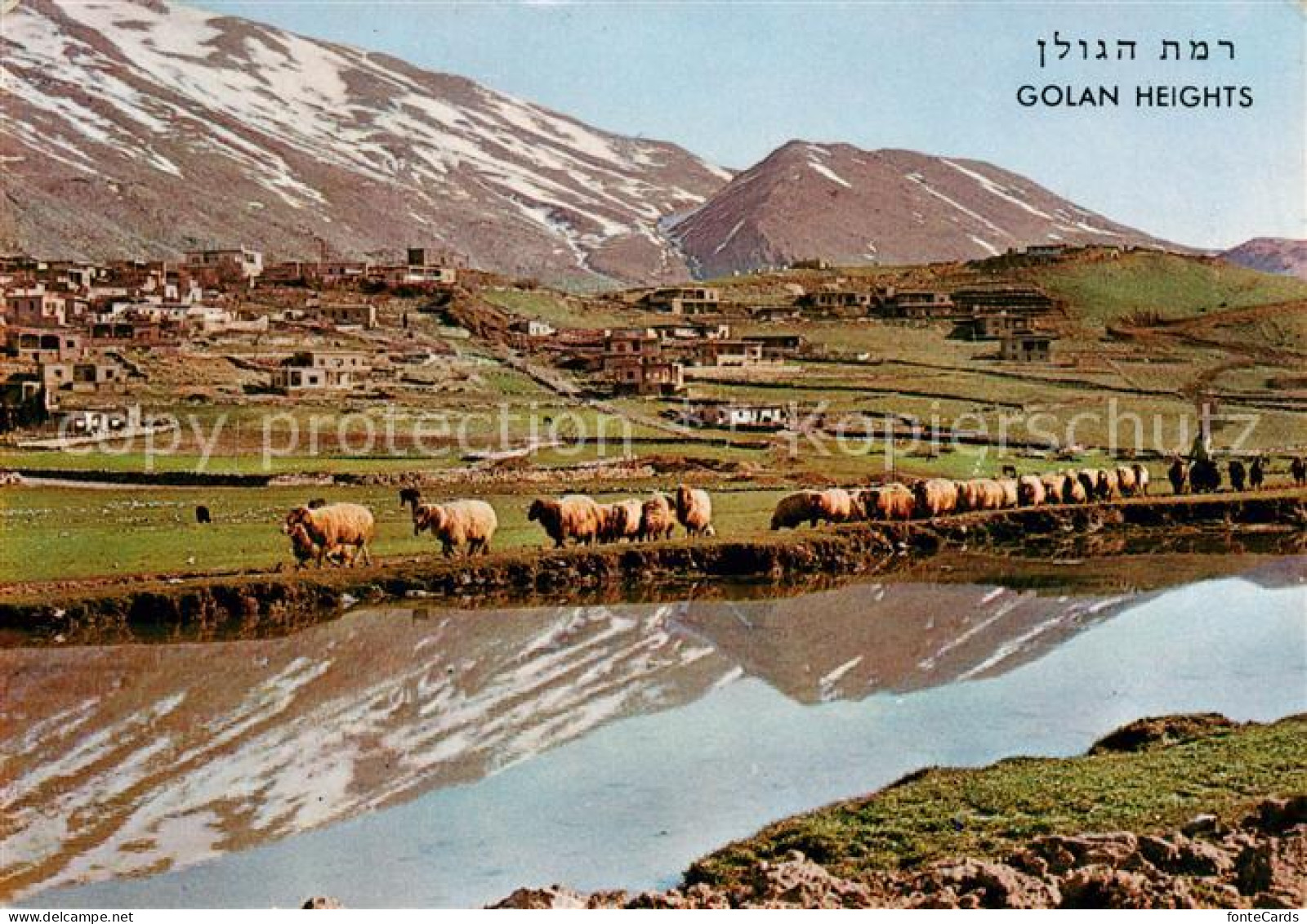 73835919 Golan Heights Golanhoehen Israel Panorama  - Israel