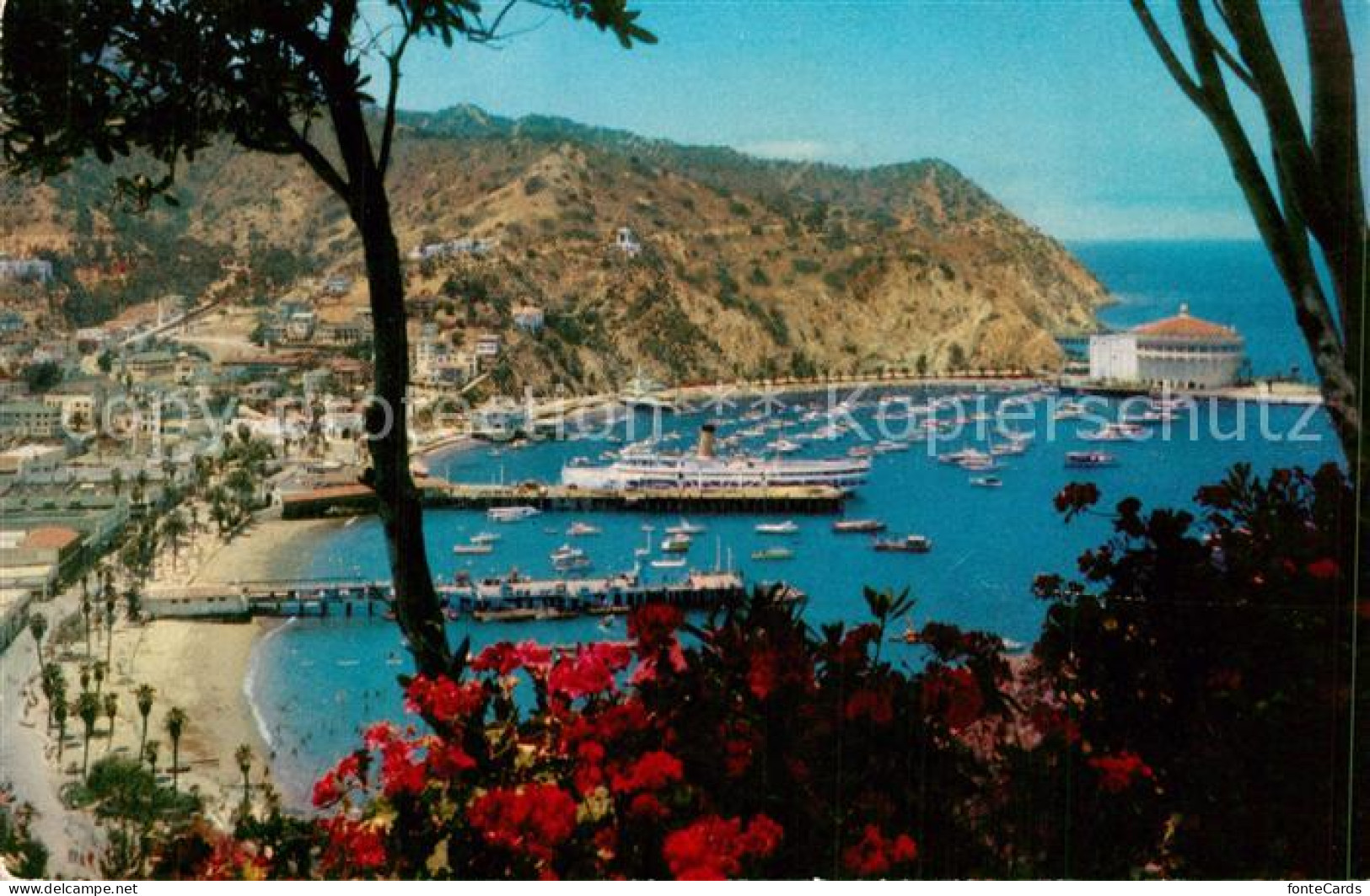 73573437 Santa Catalina Island Panorama Port And Town Of Avalon Santa Catalina I - Altri & Non Classificati