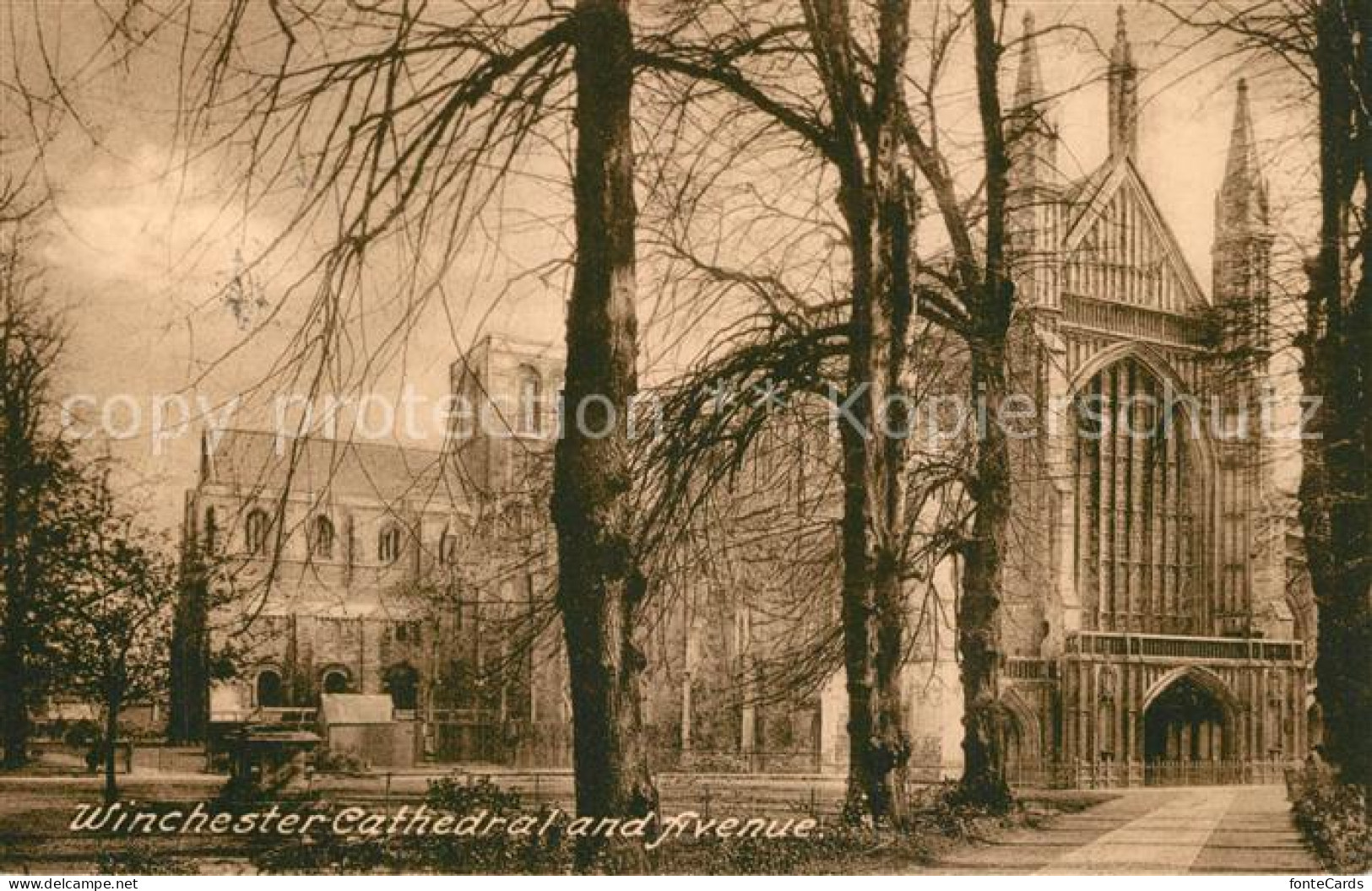 73571837 Winchester Cathedral And Avenue Winchester - Andere & Zonder Classificatie