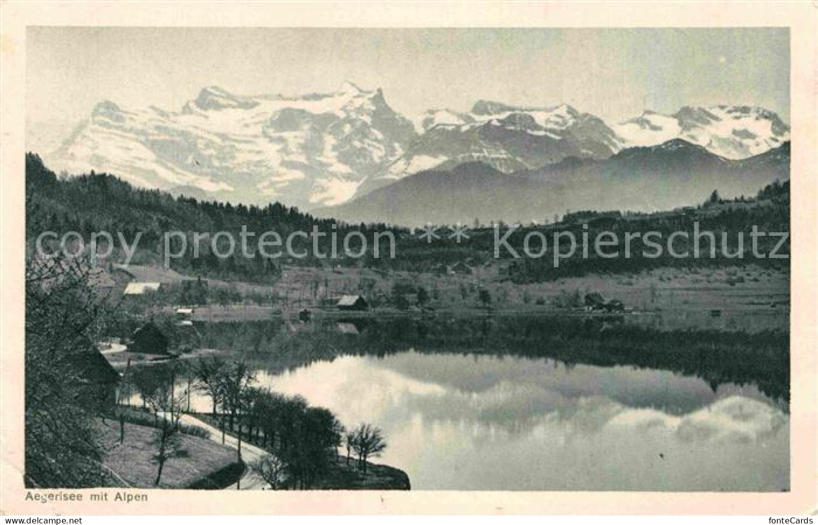 12759868 Aegerisee Aegerisee Unteraegeri Unter-Aegeri ZG Mit Alpenpanorama  - Sonstige & Ohne Zuordnung