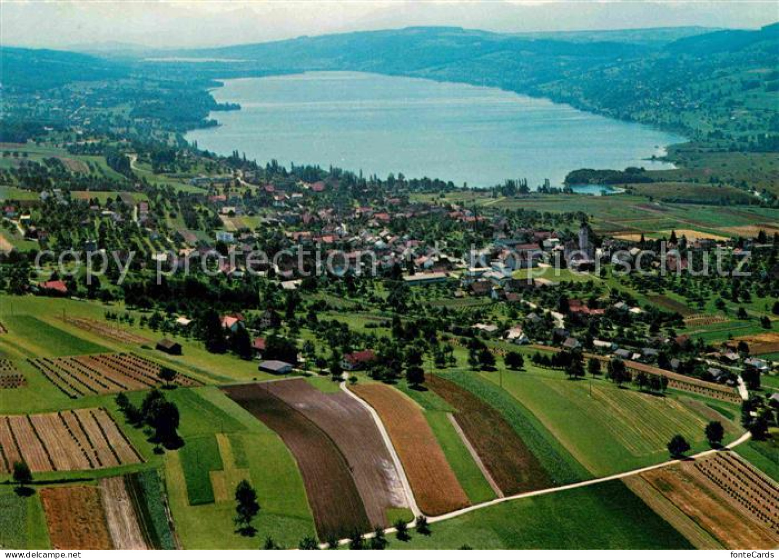 12752638 Hallwilersee Fliegeraufnahme Hallwil - Other & Unclassified