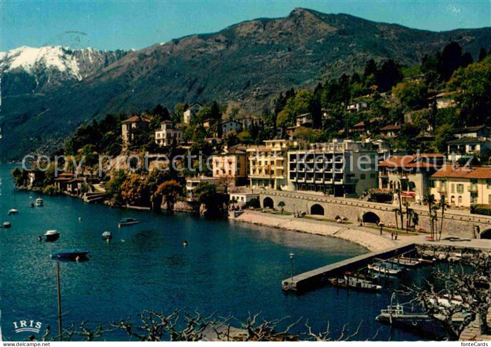 12750742 Ascona TI Collina San Michele Ascona - Altri & Non Classificati