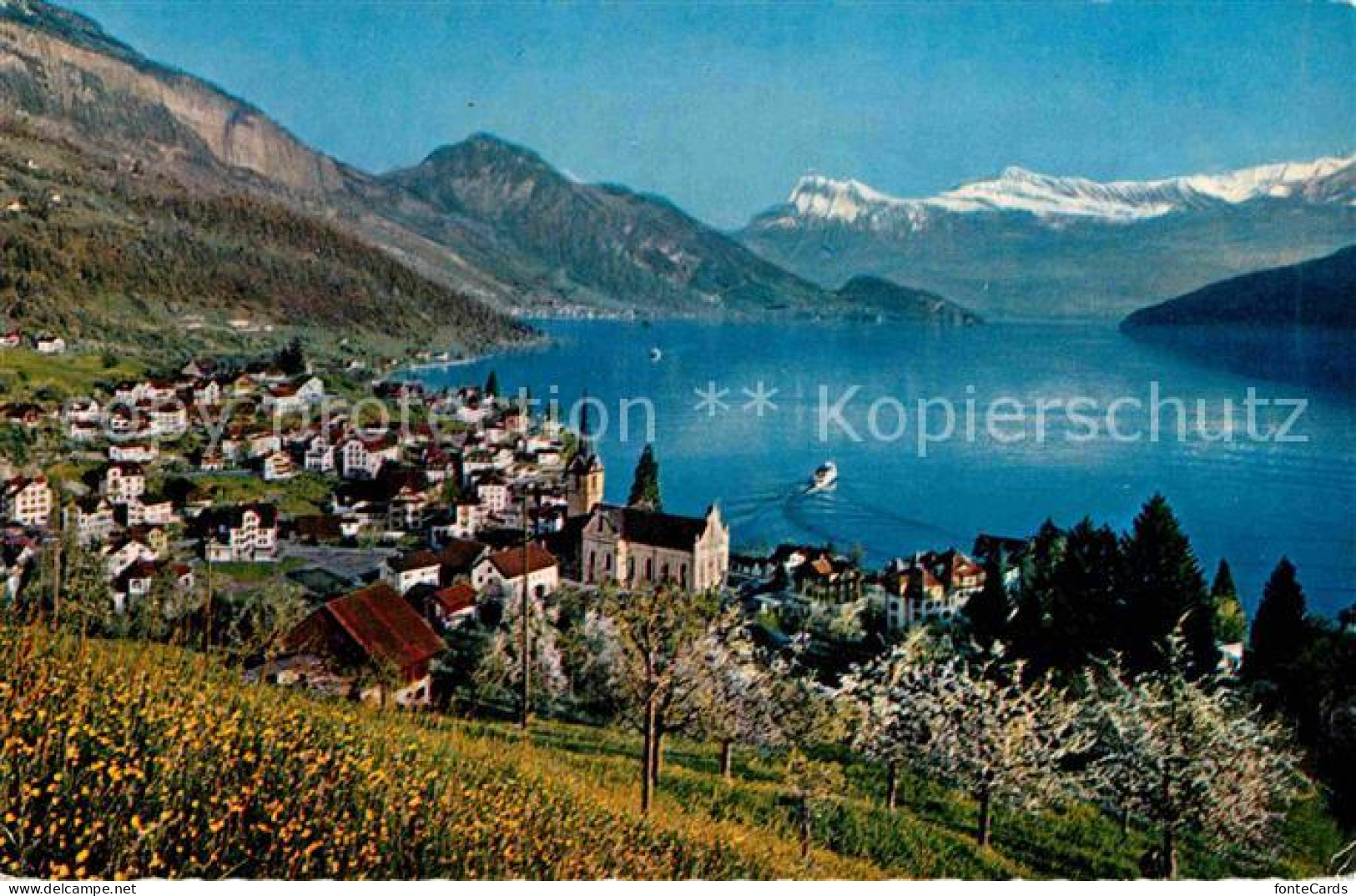 12748073 Weggis Vierwaldstaettersee Panorama Mit Rigi Niederbauen Oberbauen Alpe - Other & Unclassified