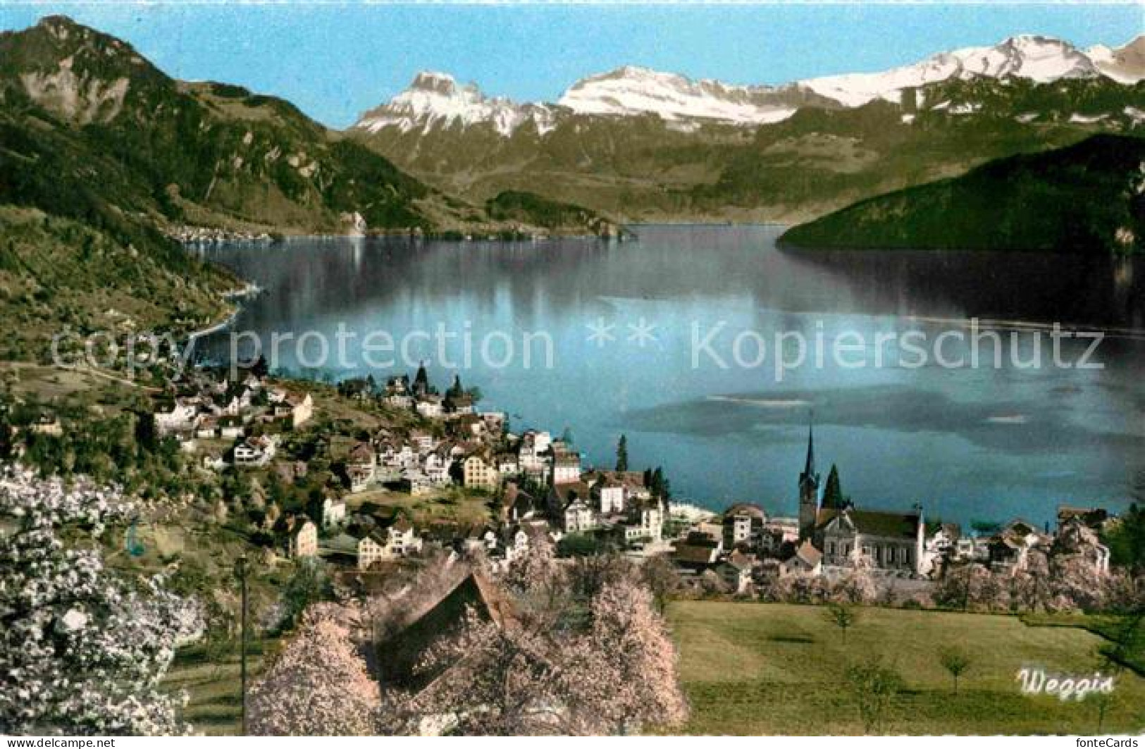 12743221 Weggis Vierwaldstaettersee Panorama Blick Ueber Den See Alpen Weggis - Sonstige & Ohne Zuordnung