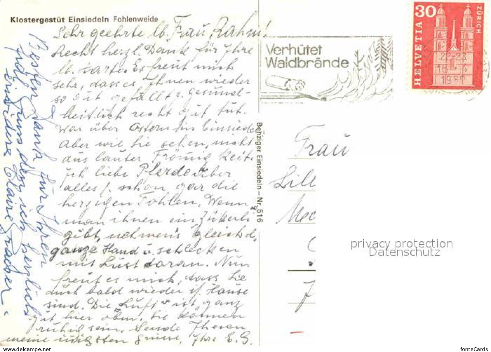 12742873 Einsiedeln SZ Klostergestuet Fohlenweide Einsiedeln - Other & Unclassified