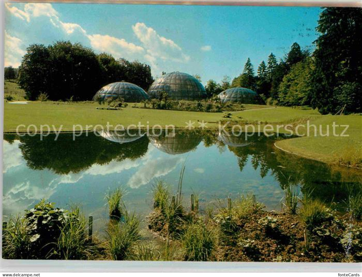 12739974 Zuerich ZH Botanischer Garten Schauhaeuser Teich Zuerich - Andere & Zonder Classificatie