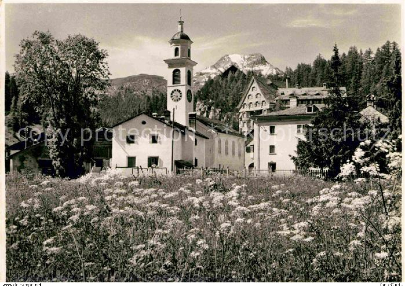 12735302 Sils Maria Graubuenden Mit Piz Della Margna Sils Maria - Sonstige & Ohne Zuordnung