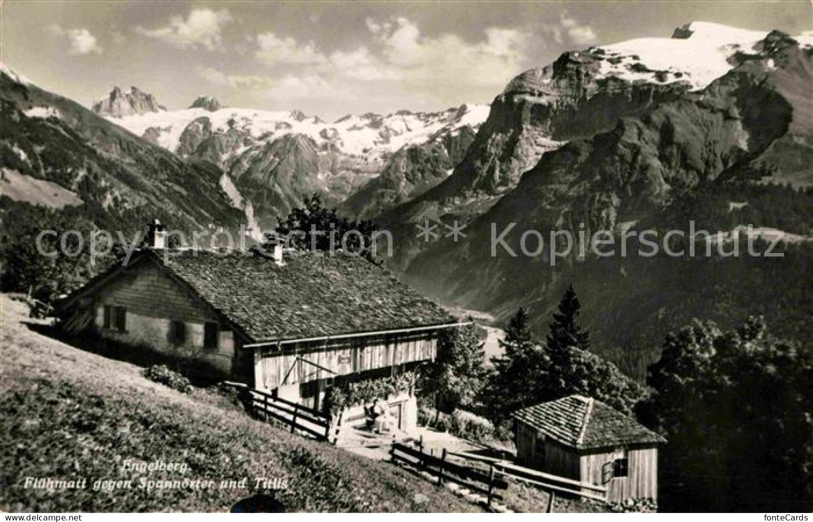 12735143 Engelberg OW Fluehmatt Gegen Spannoerter Und Titlis Urner Alpen Engelbe - Autres & Non Classés