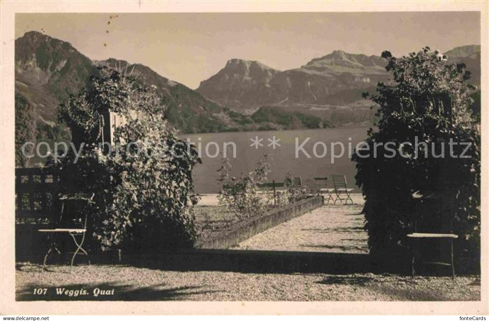 12735142 Weggis Vierwaldstaettersee Quai Alpen Weggis - Andere & Zonder Classificatie