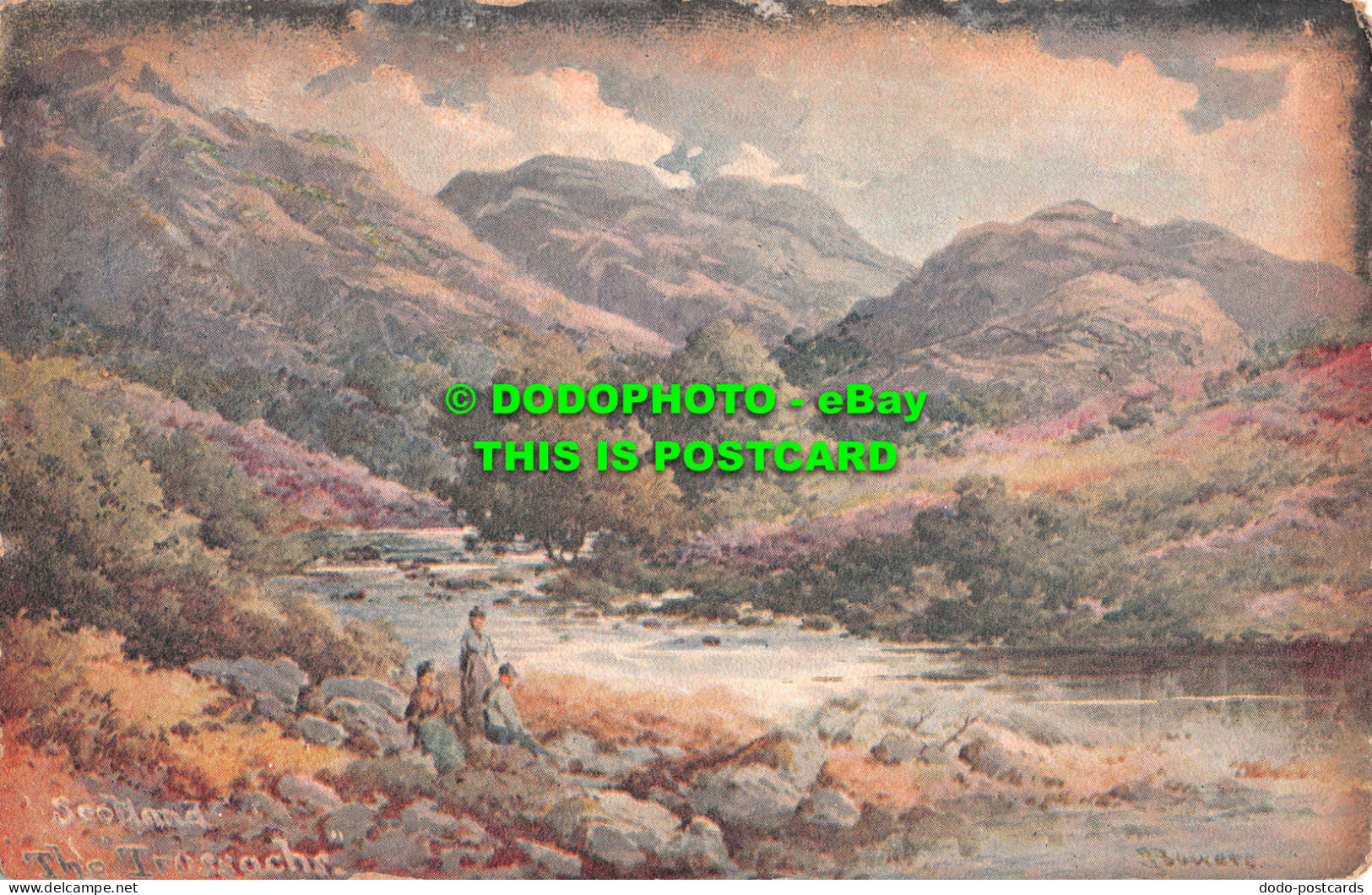 R535139 Scotland. Trossachs. Misch And Stocks Nature Miniatures Series. 1906 - Monde