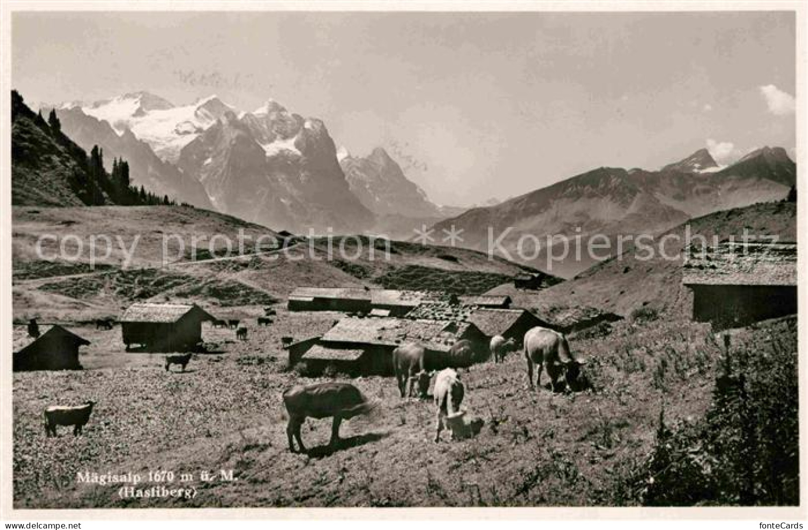 12732902 Maegisalp Panorama Meiringen Hasliberg - Sonstige & Ohne Zuordnung