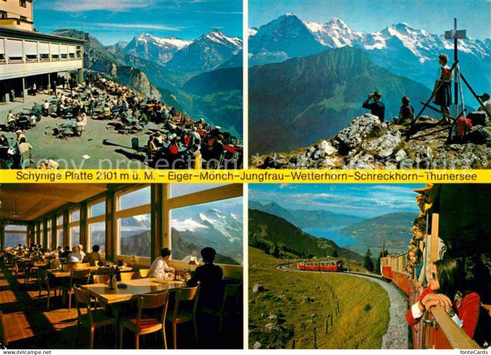 12720960 Schynige Platte Bergrestaurant Bergbahn Gipfelkreuz Bergwandern Alpenpa - Sonstige & Ohne Zuordnung