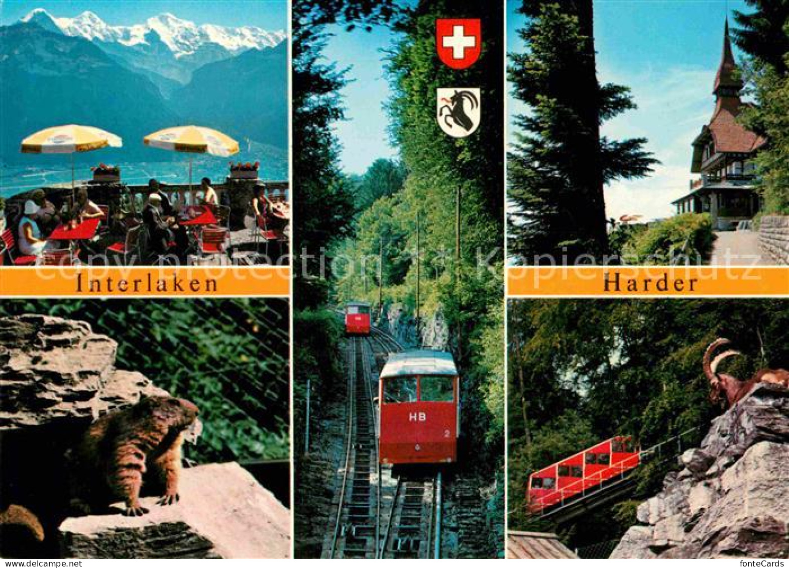 12720514 Interlaken BE Harder Restauant Zahnradbahn Gemse Murmeltier Interlaken - Other & Unclassified